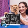 image:imageCHALKY CROWN Bold Liquid Chalk Markers 8 Pack amp White Chalk Markers 5 Pack  Dry Erase Pens for Chalkboards Signs Windows Blackboard amp More  With Reversible Tip